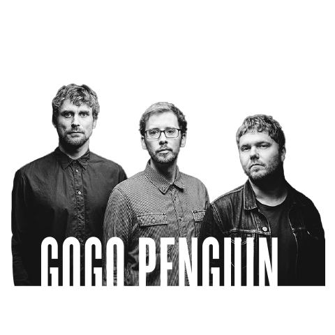 GOGO Penguin - Spotlight